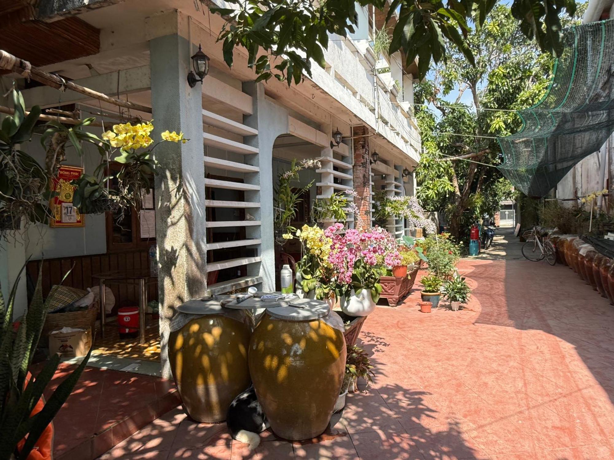 Island Homestay Tien Giang Mỹ Tho Ngoại thất bức ảnh